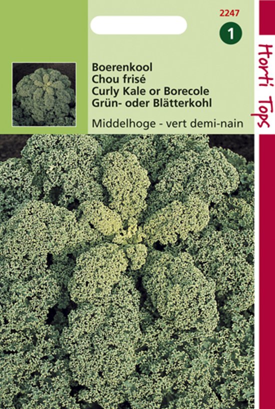 Boerenkool Middelhoge Fijne Krul (Brassica) 900 zaden HT
